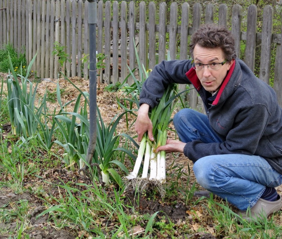 Comment Planter Les Poireaux Pour Avoir Plus De Blanc