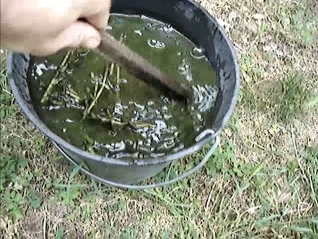Vidéo : 3 astuces pour faire du purin d'ortie sans odeur