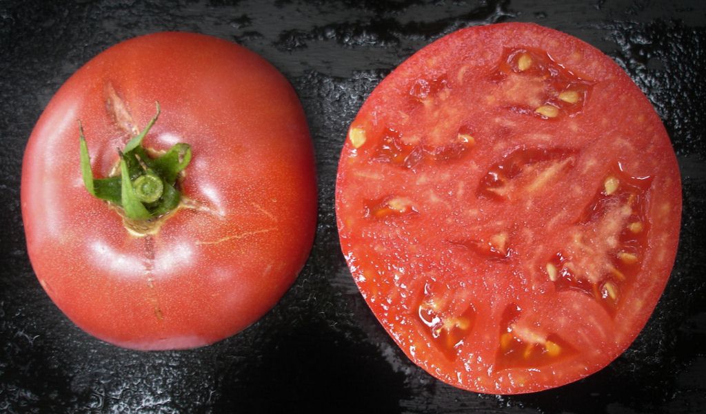 Mon palmarès des tomates 2012