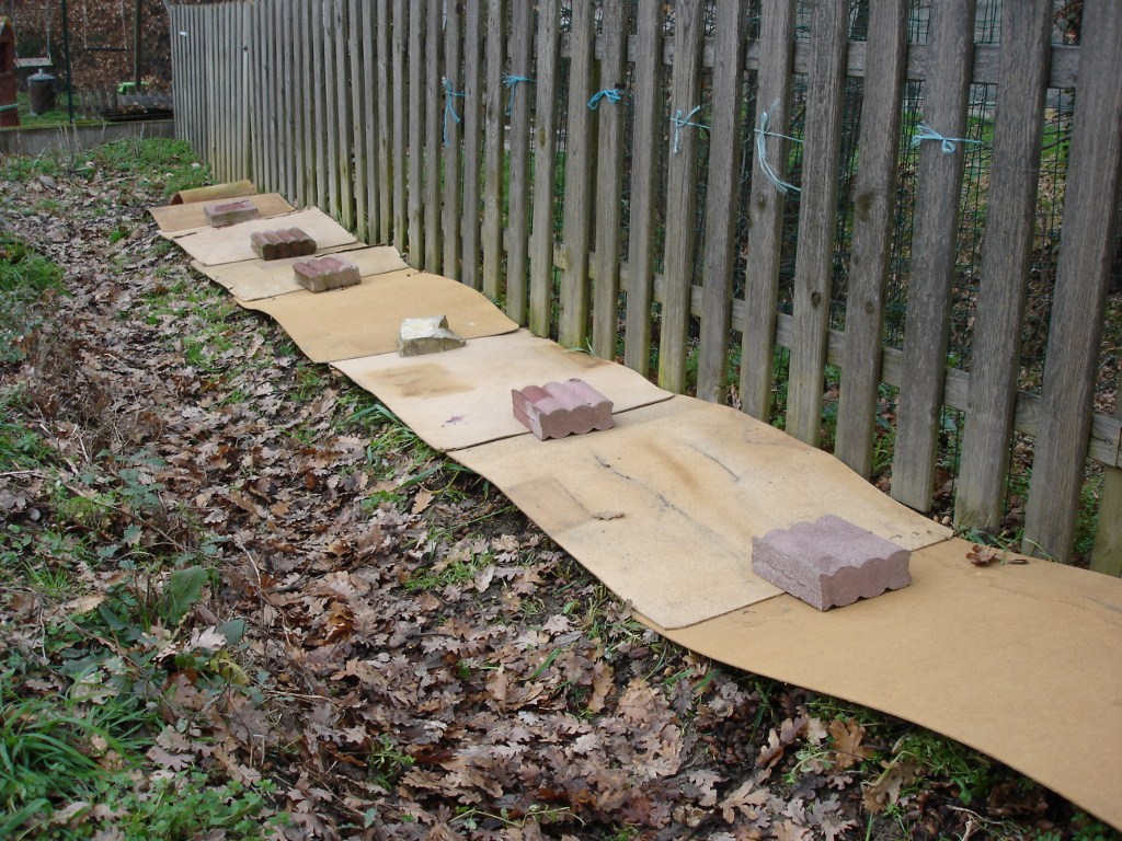 Parcelle couverte avec des cartons