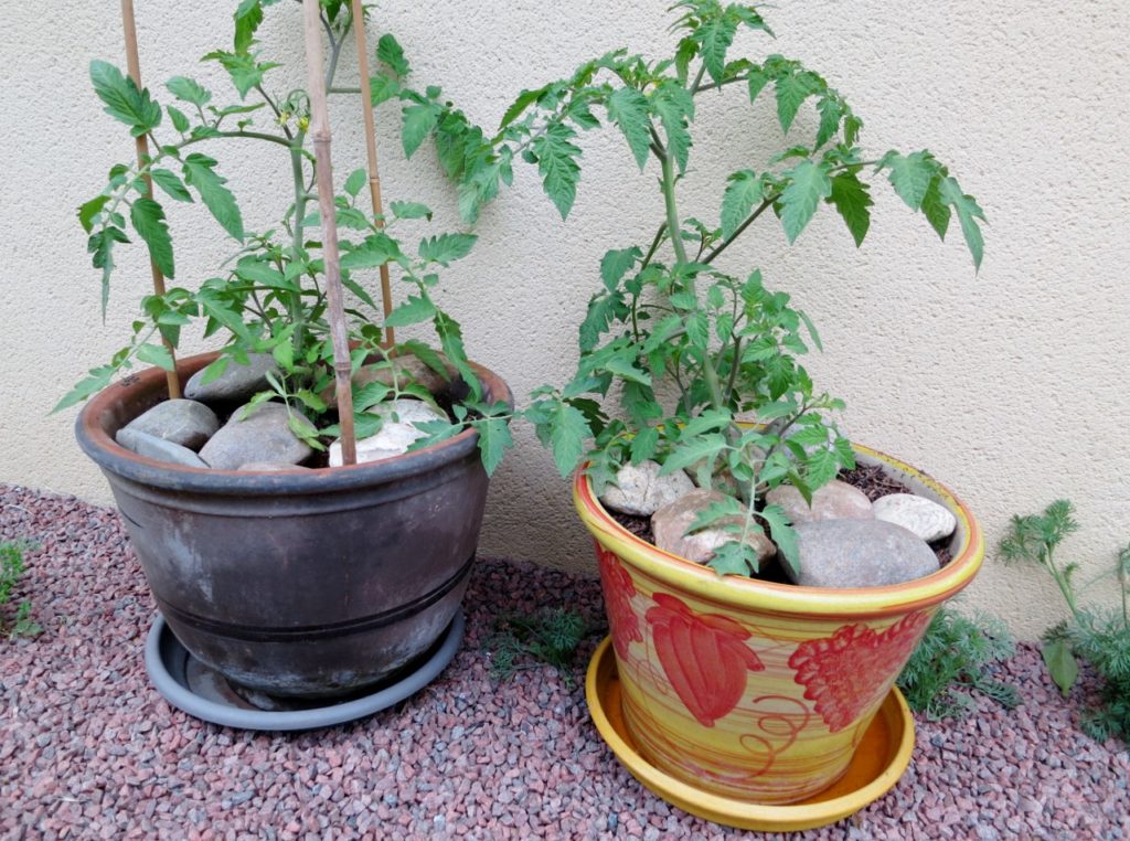 Des galets en guise de paillis