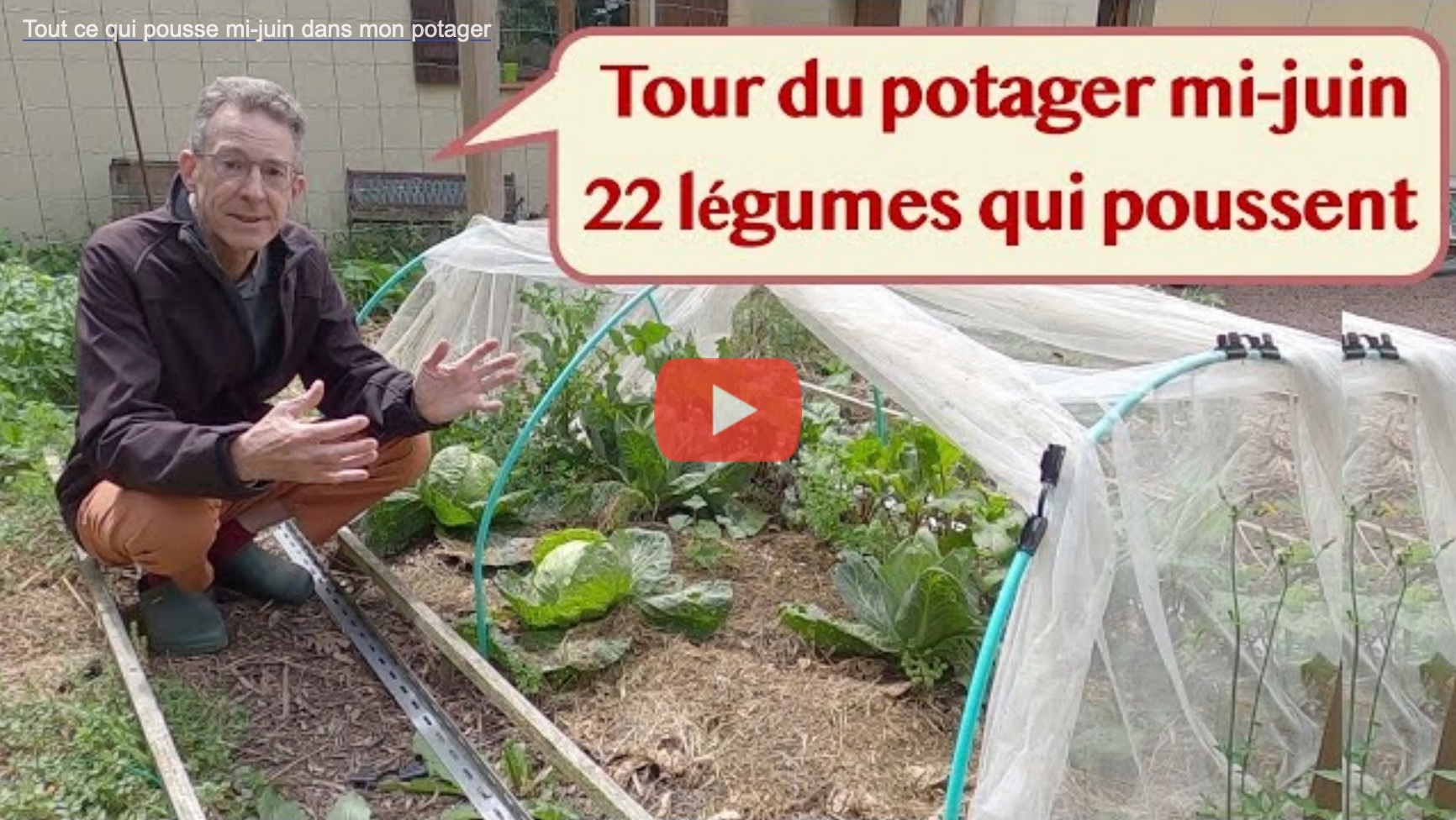 Le tour du potager mi-juin : 22 légumes différents en train de pousser