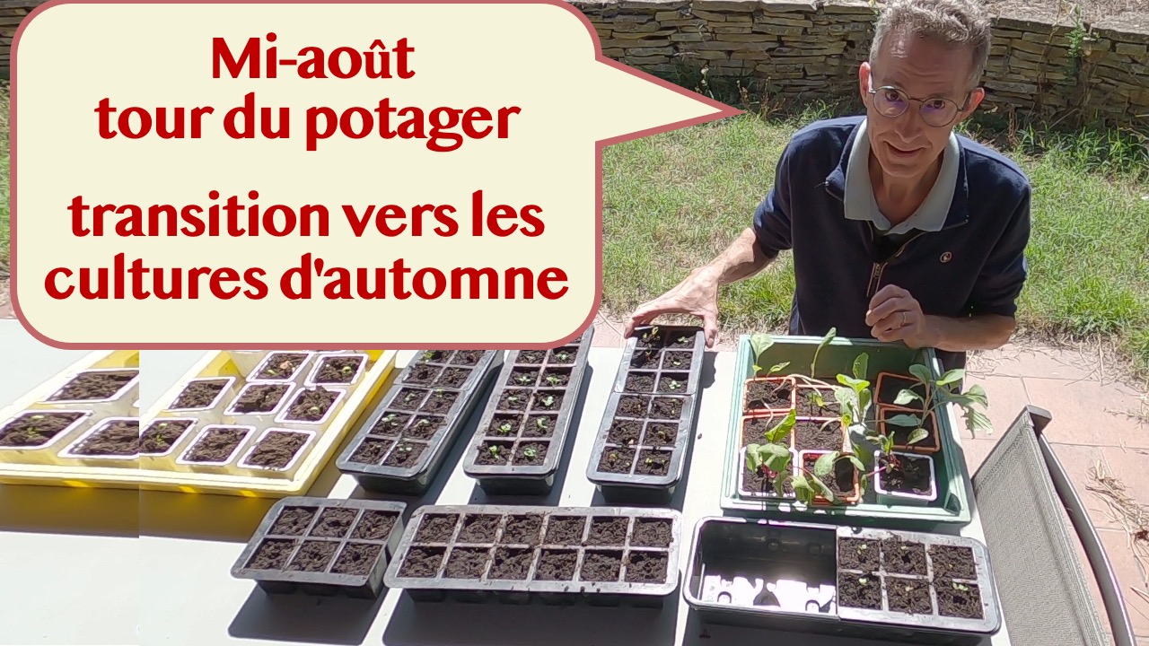 Le tour du potager mi-août : transition vers les cultures d’automne