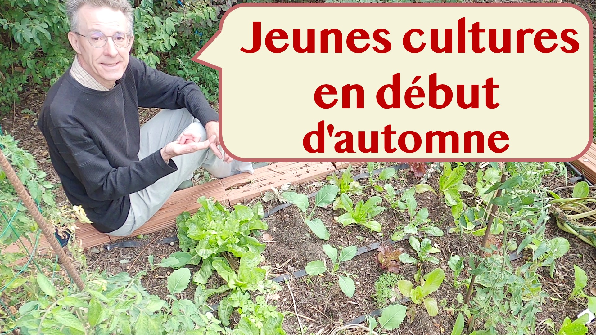 Que semer ou planter en octobre au potager