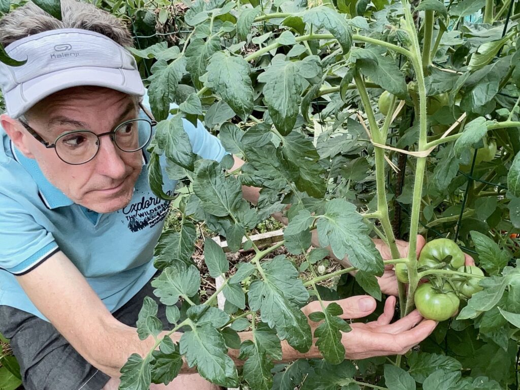 Moi avec tomates vertes