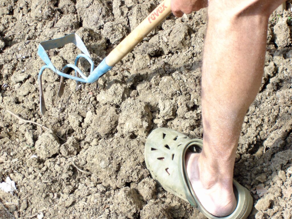moi terre aride