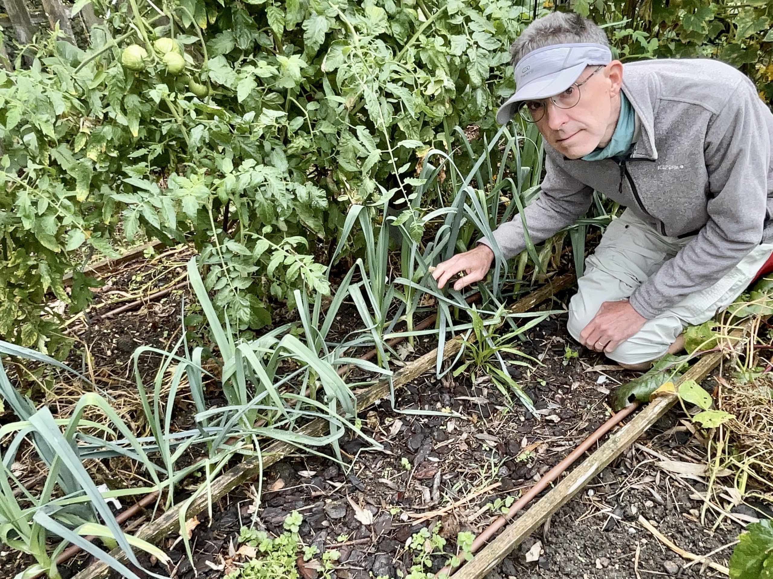 Et si la plus belle saison du potager commençait après l'été ?