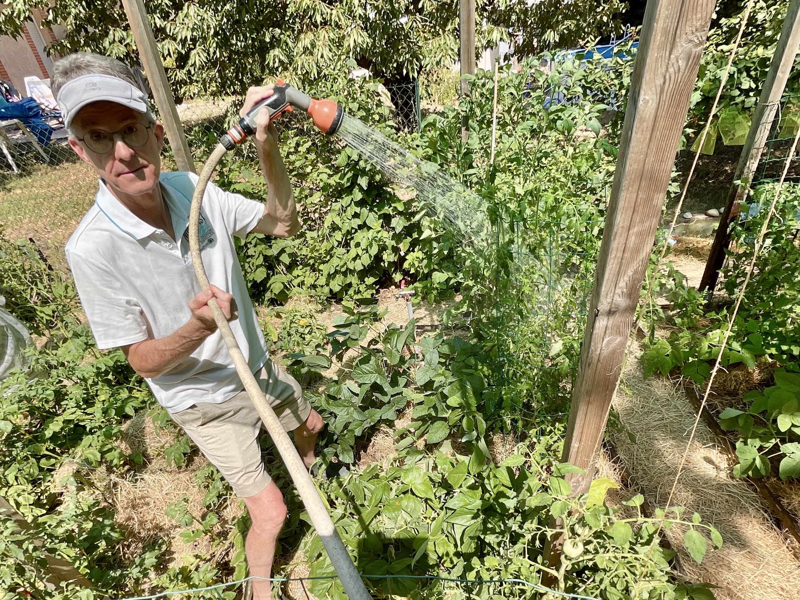 Ce qu'il faut regarder maintenant pour réussir son potager l'année prochaine